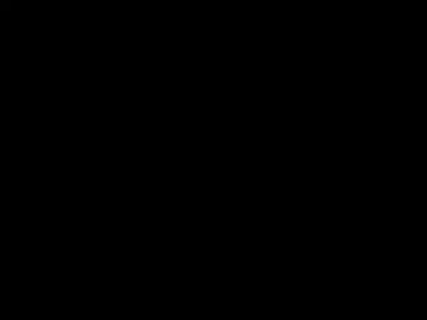 无声证言高清影视封面